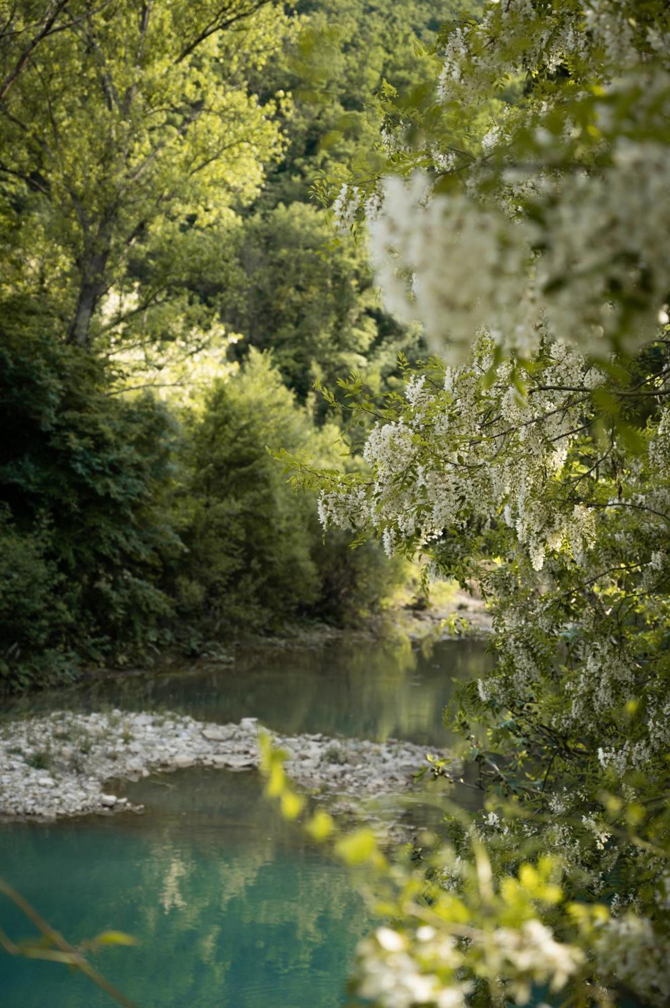 Glamping Dragonja River Šmarje Eksteriør billede